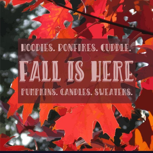 SWEATER WEATHER GRAPHIC TEE - Picture 2 of 3